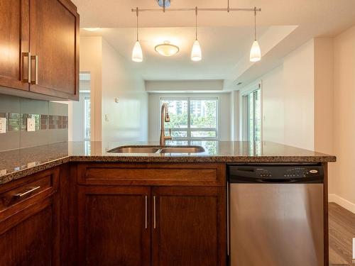 305 10055 118 Street, Edmonton, AB - Indoor Photo Showing Kitchen With Double Sink