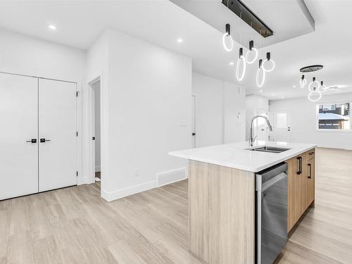 860 Northern Harrier Lane, Edmonton, AB - Indoor Photo Showing Kitchen With Double Sink With Upgraded Kitchen