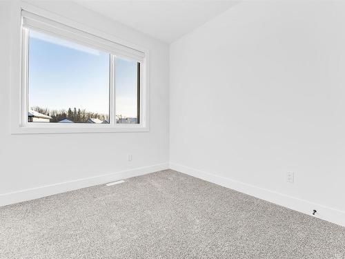 860 Northern Harrier Lane, Edmonton, AB - Indoor Photo Showing Other Room