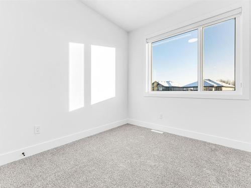 860 Northern Harrier Lane, Edmonton, AB - Indoor Photo Showing Other Room