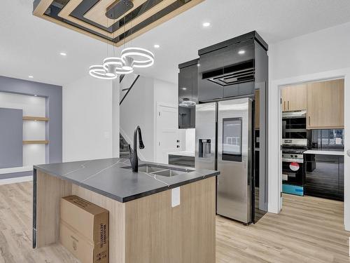 1731 19 Street, Edmonton, AB - Indoor Photo Showing Kitchen With Double Sink