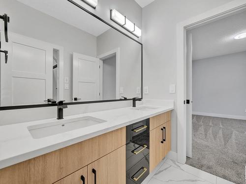 1731 19 Street, Edmonton, AB - Indoor Photo Showing Bathroom