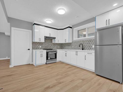 1731 19 Street, Edmonton, AB - Indoor Photo Showing Kitchen With Upgraded Kitchen