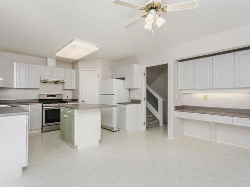 909 Burrows Crescent, Edmonton, AB - Indoor Photo Showing Kitchen With Double Sink