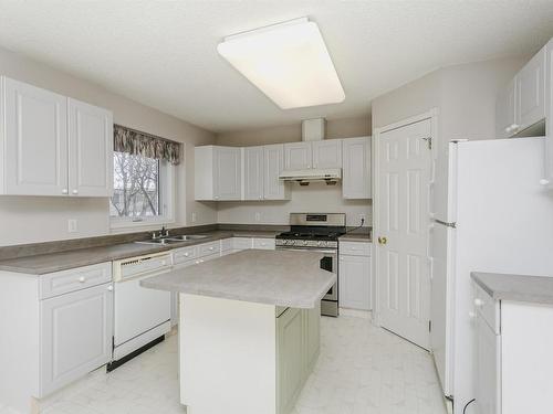 909 Burrows Crescent, Edmonton, AB - Indoor Photo Showing Kitchen With Double Sink