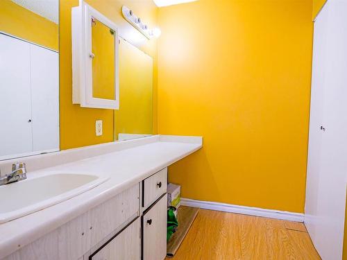 8437 29 Avenue, Edmonton, AB - Indoor Photo Showing Bathroom