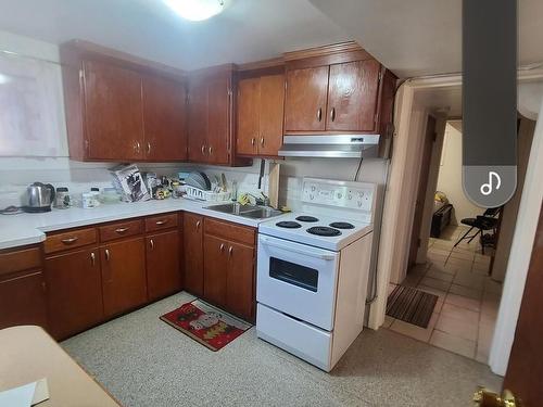 11324 124 Street, Edmonton, AB - Indoor Photo Showing Kitchen With Double Sink