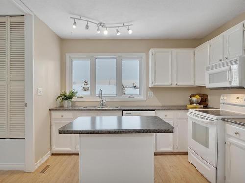 3103 104 Street, Edmonton, AB - Indoor Photo Showing Kitchen With Double Sink