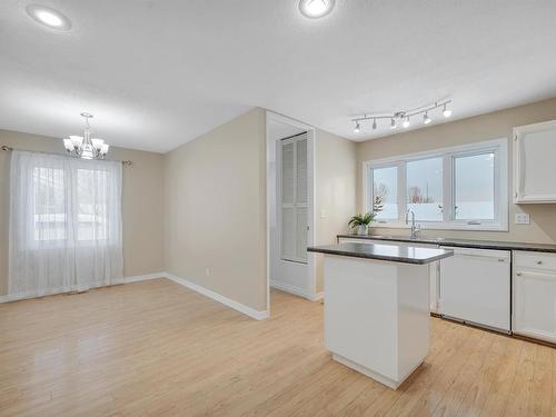 3103 104 Street, Edmonton, AB - Indoor Photo Showing Kitchen With Double Sink