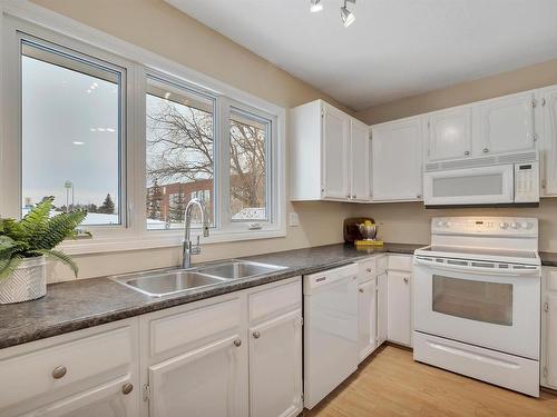 3103 104 Street, Edmonton, AB - Indoor Photo Showing Kitchen With Double Sink