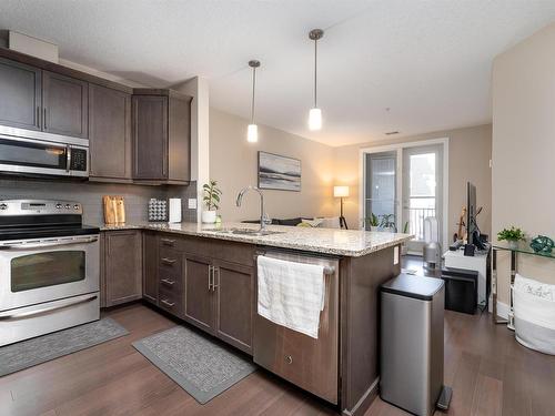 #347 6079 Maynard Way, Edmonton, AB - Indoor Photo Showing Kitchen