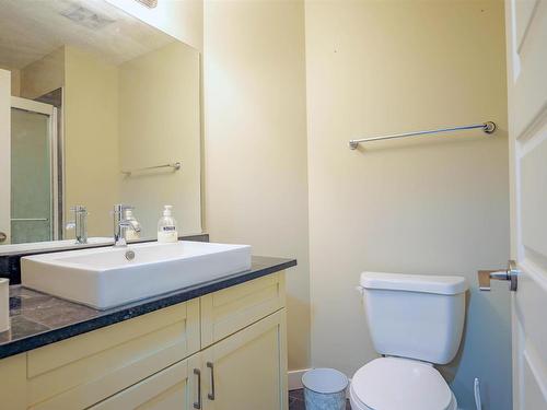 114 1230 Windermere Way, Edmonton, AB - Indoor Photo Showing Bathroom