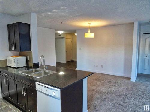 319 11803 22 Avenue, Edmonton, AB - Indoor Photo Showing Kitchen With Double Sink