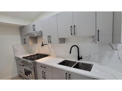 3709 31A Street, Edmonton, AB - Indoor Photo Showing Kitchen With Double Sink With Upgraded Kitchen