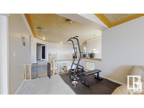 16627 70 Street, Edmonton, AB - Indoor Photo Showing Gym Room