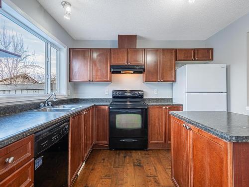 20232 57 Avenue, Edmonton, AB - Indoor Photo Showing Kitchen With Double Sink