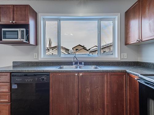 20232 57 Avenue, Edmonton, AB - Indoor Photo Showing Kitchen With Double Sink