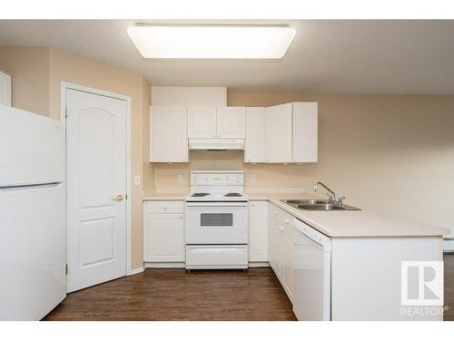 363 13441 127 Street, Edmonton, AB - Indoor Photo Showing Kitchen With Double Sink