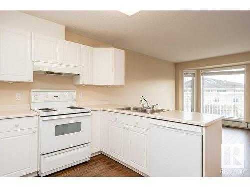 363 13441 127 Street, Edmonton, AB - Indoor Photo Showing Kitchen With Double Sink