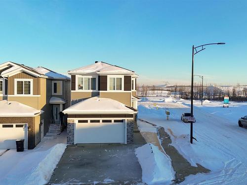 3203 Magpie Link Nw, Edmonton, AB - Outdoor