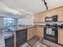 409 6315 135 Avenue, Edmonton, AB  - Indoor Photo Showing Kitchen With Double Sink 