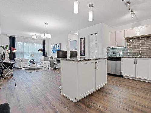 206 8515 99 Street, Edmonton, AB - Indoor Photo Showing Kitchen With Double Sink