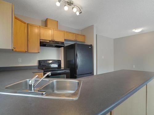 41 130 Hyndman Crescent, Edmonton, AB - Indoor Photo Showing Kitchen With Double Sink