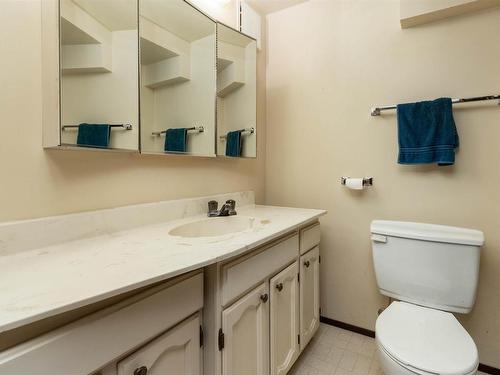 14139 30 Street, Edmonton, AB - Indoor Photo Showing Bathroom