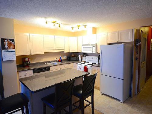 3008 31 Avenue, Edmonton, AB - Indoor Photo Showing Kitchen With Double Sink