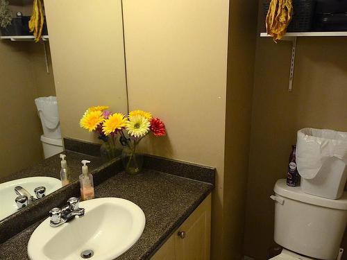 3008 31 Avenue, Edmonton, AB - Indoor Photo Showing Bathroom