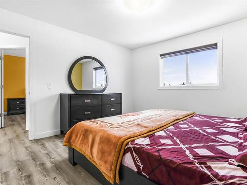 2038 33B Street Nw, Edmonton, AB - Indoor Photo Showing Bedroom