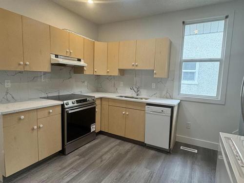 11537 81 Street, Edmonton, AB - Indoor Photo Showing Kitchen With Double Sink