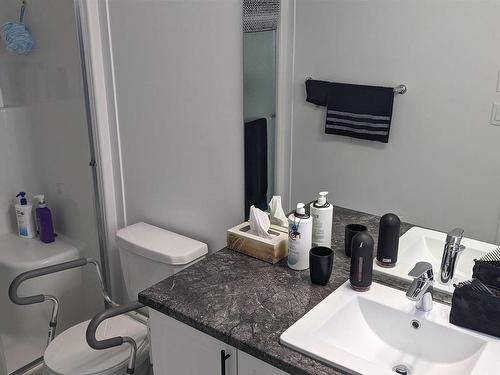 841 Northern Harrier Lane, Edmonton, AB - Indoor Photo Showing Bathroom