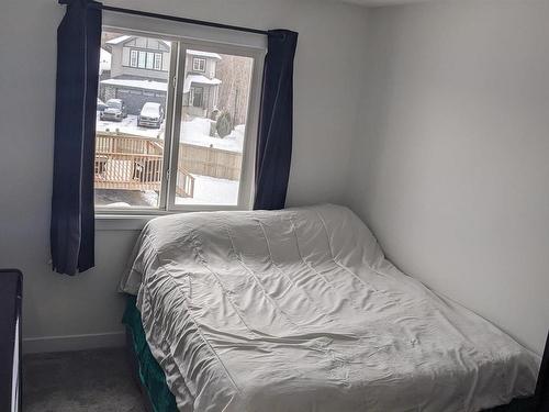 841 Northern Harrier Lane, Edmonton, AB - Indoor Photo Showing Bedroom