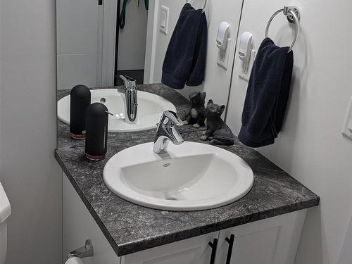 841 Northern Harrier Lane, Edmonton, AB - Indoor Photo Showing Bathroom