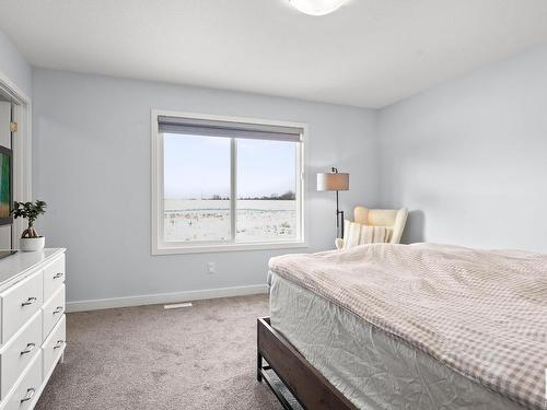 7536 Elmer Bend Bend, Edmonton, AB - Indoor Photo Showing Bedroom