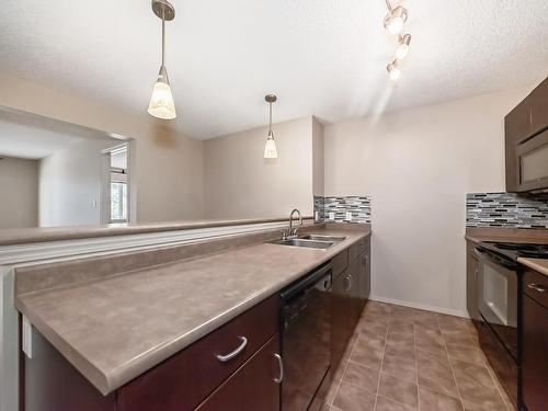 328 1180 Hyndman Road, Edmonton, AB - Indoor Photo Showing Kitchen With Double Sink