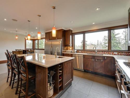 13850 Ravine Drive, Edmonton, AB - Indoor Photo Showing Kitchen With Upgraded Kitchen