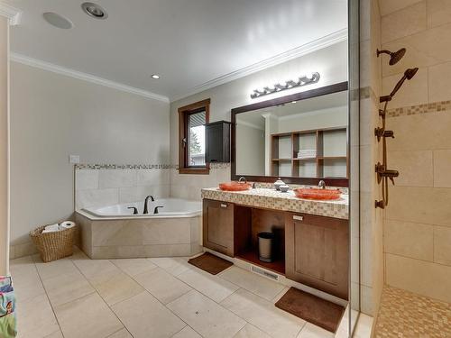 13850 Ravine Drive, Edmonton, AB - Indoor Photo Showing Bathroom