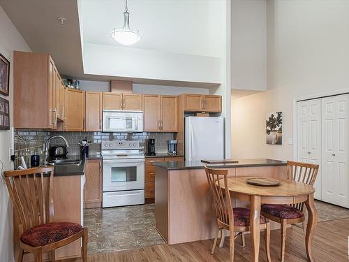 403 4450 Mccrae Avenue, Edmonton, AB - Indoor Photo Showing Kitchen