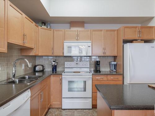 403 4450 Mccrae Avenue, Edmonton, AB - Indoor Photo Showing Kitchen With Double Sink