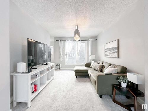 12041 162 Avenue, Edmonton, AB - Indoor Photo Showing Living Room