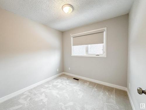 12041 162 Avenue, Edmonton, AB - Indoor Photo Showing Other Room