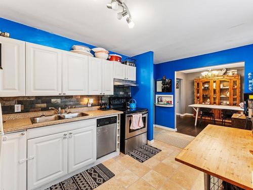 12038 45 Street, Edmonton, AB - Indoor Photo Showing Kitchen With Double Sink