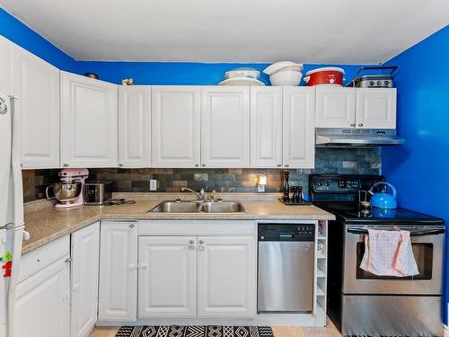 12038 45 Street, Edmonton, AB - Indoor Photo Showing Kitchen With Double Sink