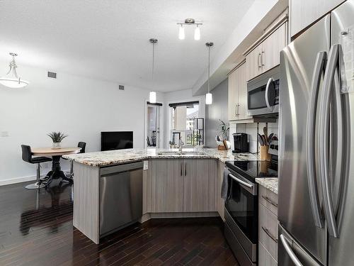 309 10523 123 Street, Edmonton, AB - Indoor Photo Showing Kitchen With Stainless Steel Kitchen With Upgraded Kitchen