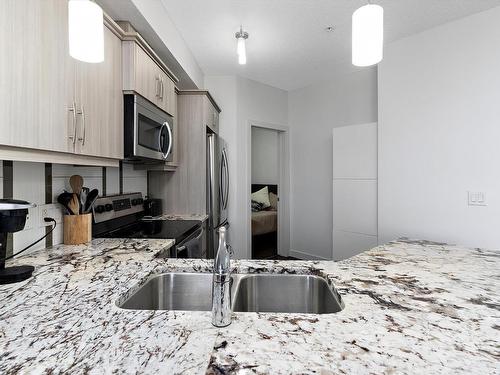 309 10523 123 Street, Edmonton, AB - Indoor Photo Showing Kitchen With Double Sink