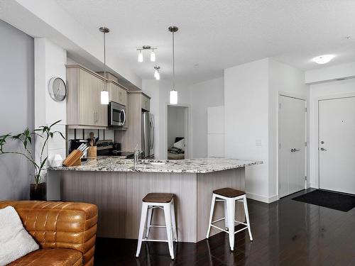 309 10523 123 Street, Edmonton, AB - Indoor Photo Showing Kitchen With Upgraded Kitchen