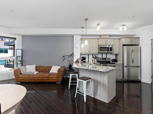 309 10523 123 Street, Edmonton, AB - Indoor Photo Showing Kitchen With Stainless Steel Kitchen With Upgraded Kitchen