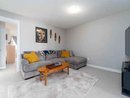 3859 170 Avenue, Edmonton, AB - Indoor Photo Showing Living Room